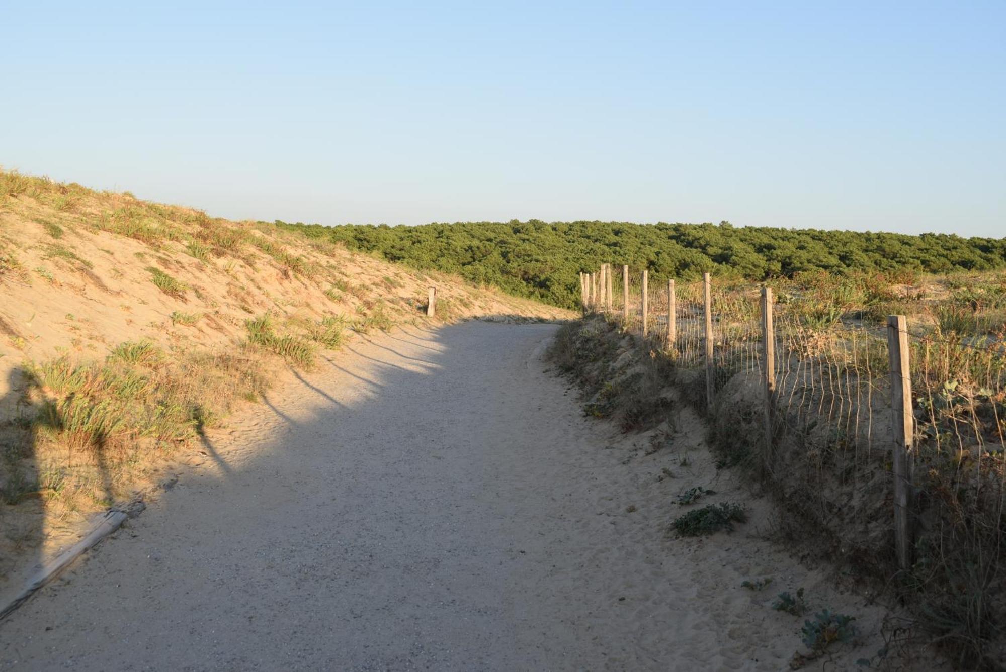Evasion Cotiere Tranquillite Entre Foret Et Ocean * Vielle-Saint-Girons