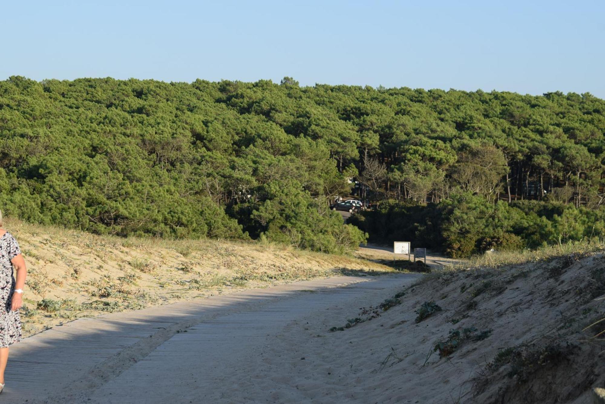 Evasion Cotiere Tranquillite Entre Foret Et Ocean
